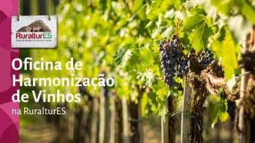 Oficina de Hamonização de Vinhos de dupla poda na RuralturES